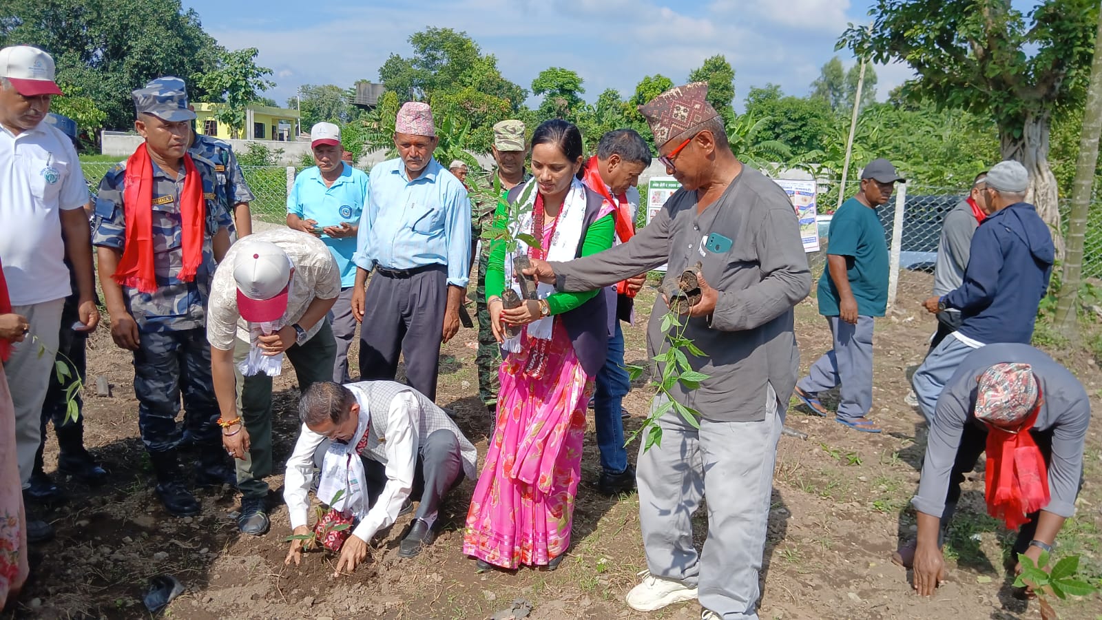 पशुपति सामुदायिक वनले लाहा खेतीको लागि सेमियालता र कुसुमको विरुवा रोपे
