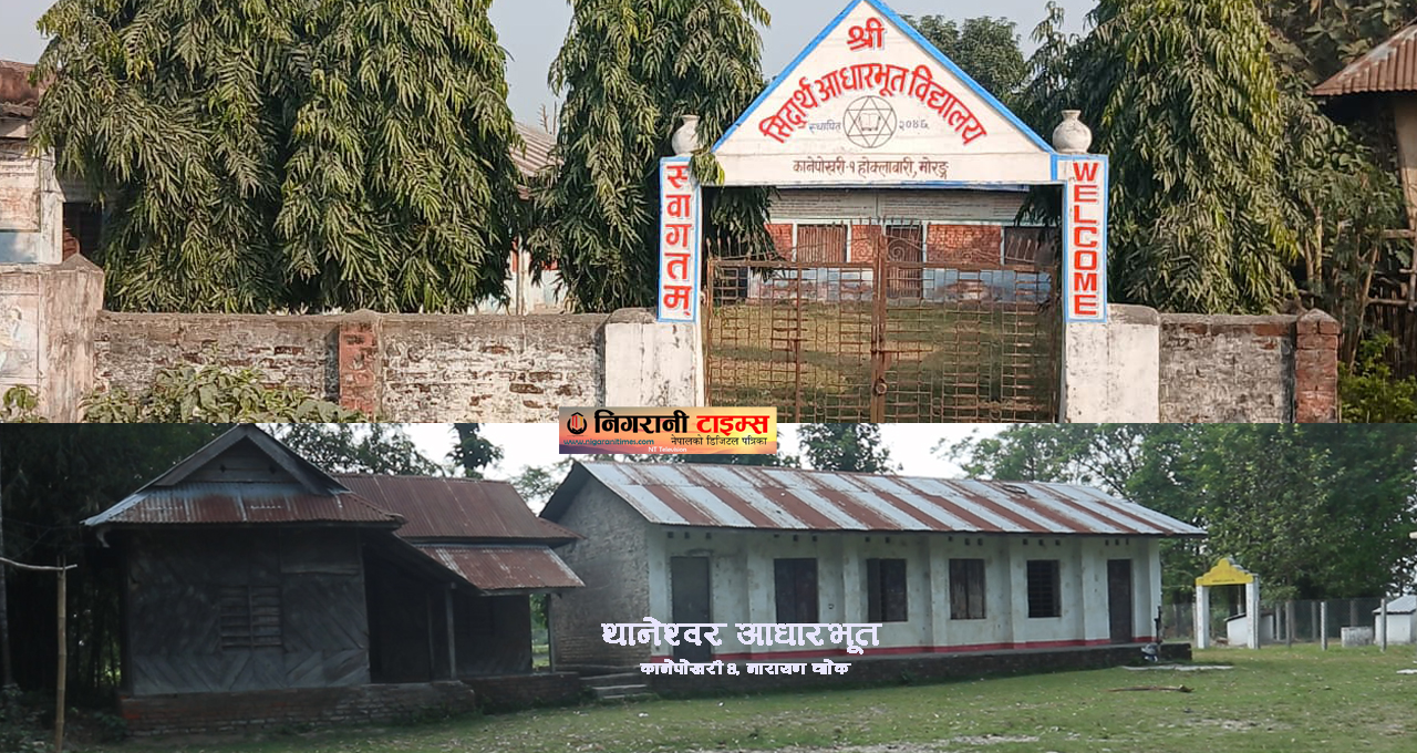 विद्यार्थी नभएपछि कानेपोखरीको दुई विद्यालय बन्द, तीन विद्यालयको कक्षा घटुवा