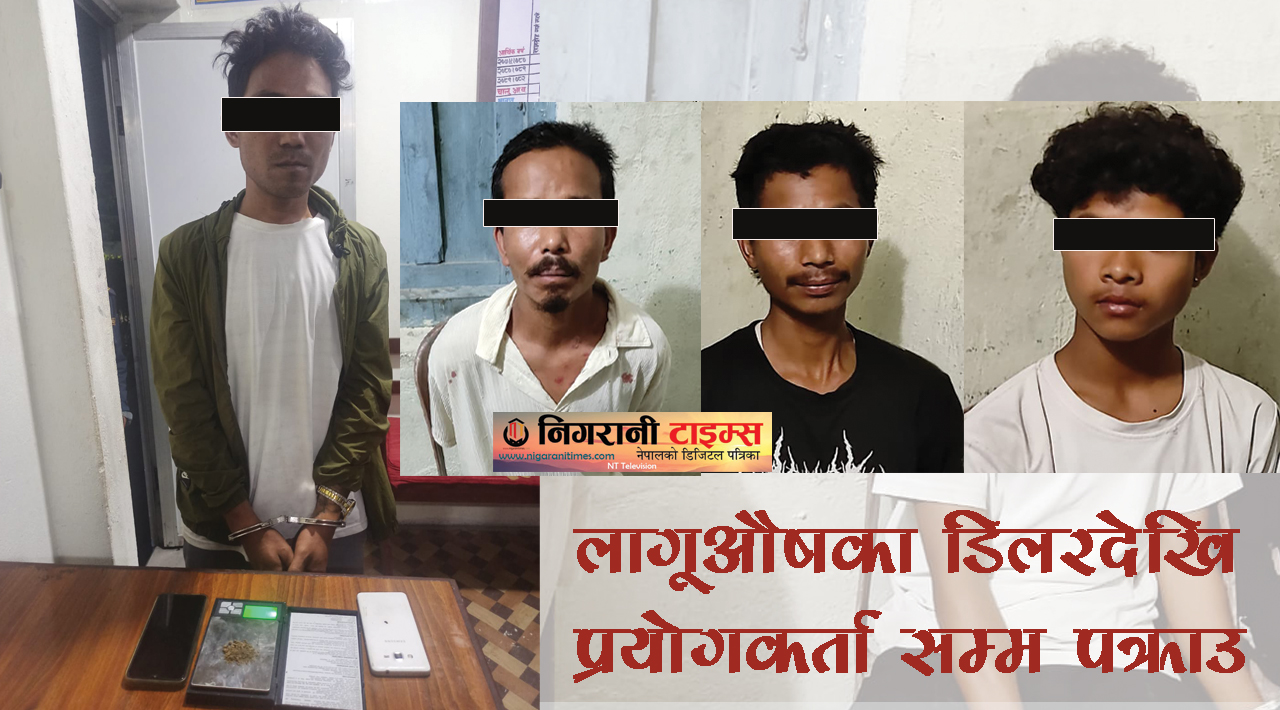 कानेपोखरीमा प्रहरीको ‘एक्सन’ : १५ दिनमै लागूऔषधका डिलरदेखि प्रयोगकर्तासम्म पक्राउ