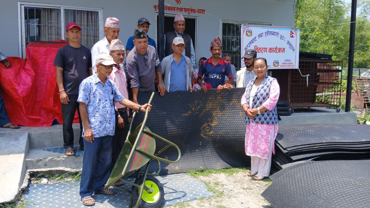 कानेपोखरी पशु शाखाद्रारा ३४ जनालाई एक चक्के गाडी र ३७ जनालाई म्याड वितरण